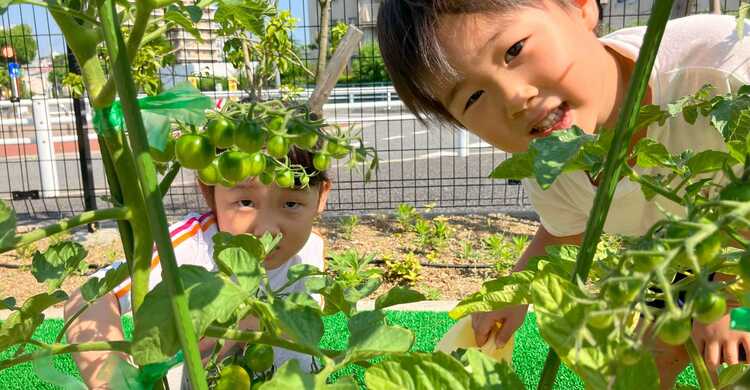 当園について→教育・保育目標→考えて挑戦する力